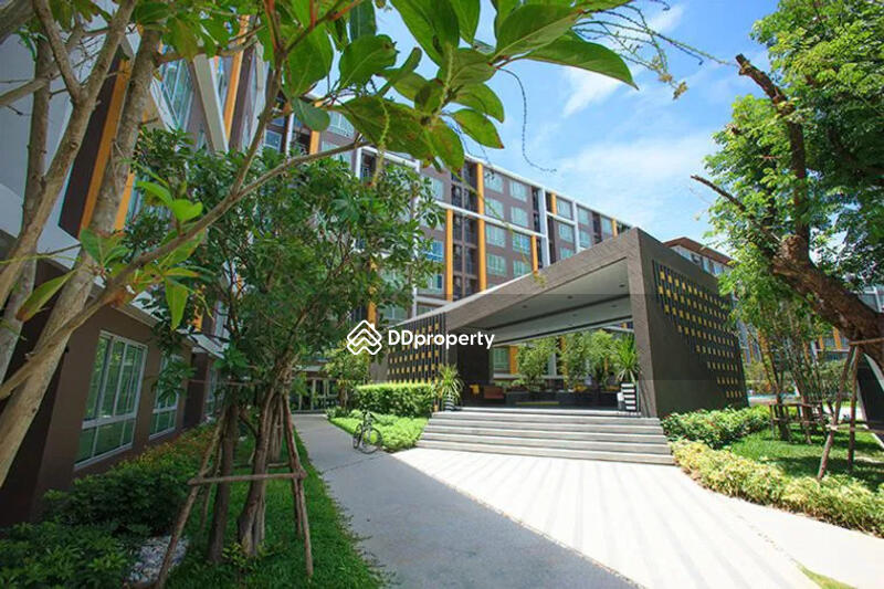 The Scene Bangsaen : เดอะ ซีน บางแสน #0