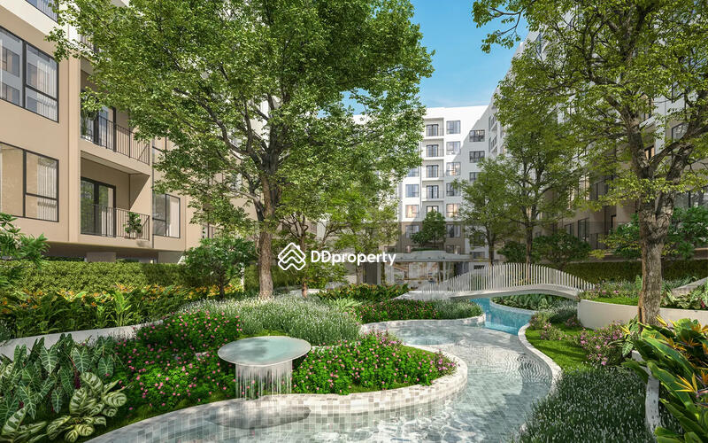 For Sale - Arise Hill, Chiang Mai
