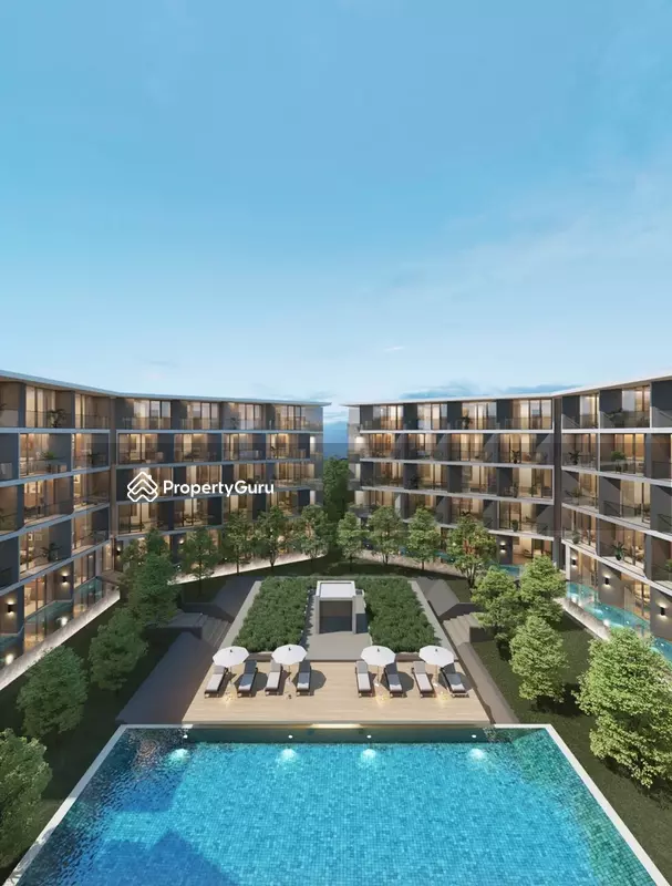 The Forest Patong - Paradise : เดอะ ฟอเรสต์ ป่าตอง - พาราไดซ์ #0