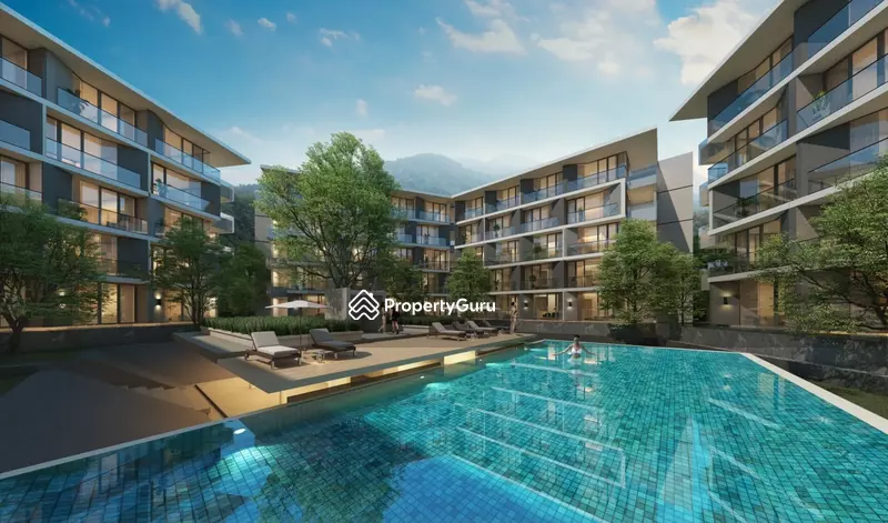 The Forest Patong - Paradise : เดอะ ฟอเรสต์ ป่าตอง - พาราไดซ์ #0