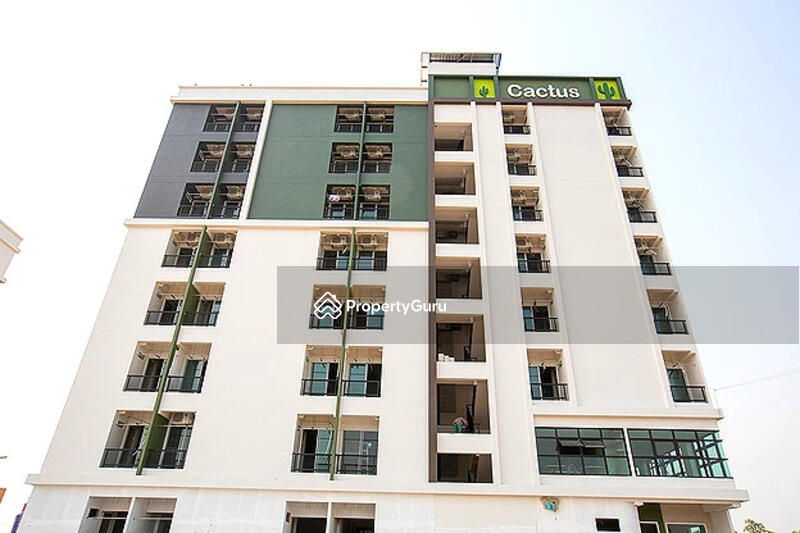 For Sale - Cactus, Pathum Thani