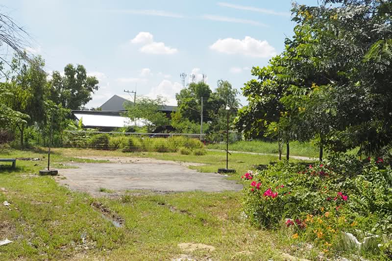 Mu Ban Racha Village, Pathum Thani, Khlong Ha, Khlong Luang, Pathum Thani, 2 Bedrooms, 120 sqm, Townhouse For Sale, by Connex Property, 60020459 - DDproperty.com