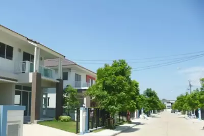 - Trendy Tara Rama 2