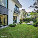 SHAWN Wongwaen-Chatuchot #0