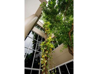 - The Amber at Chatuchak