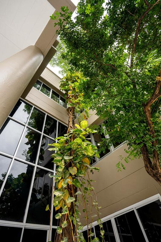 The Amber at Chatuchak : เดอะ แอมเบอร์ โฮม แอท จตุจักร #0