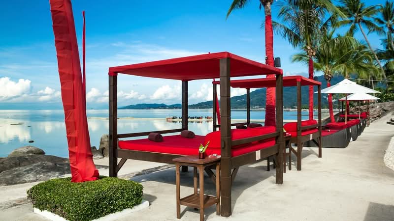 ขาย - Beach Republic Samui : บีชรีพับลิค สมุย, สุราษฎร์ธานี