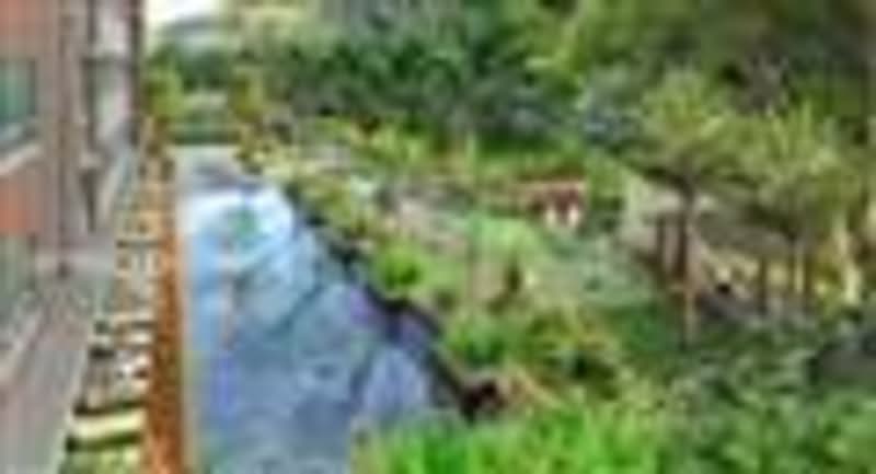 Melody Homes - iProperty.com.my