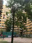 Popular Condo T11 #0