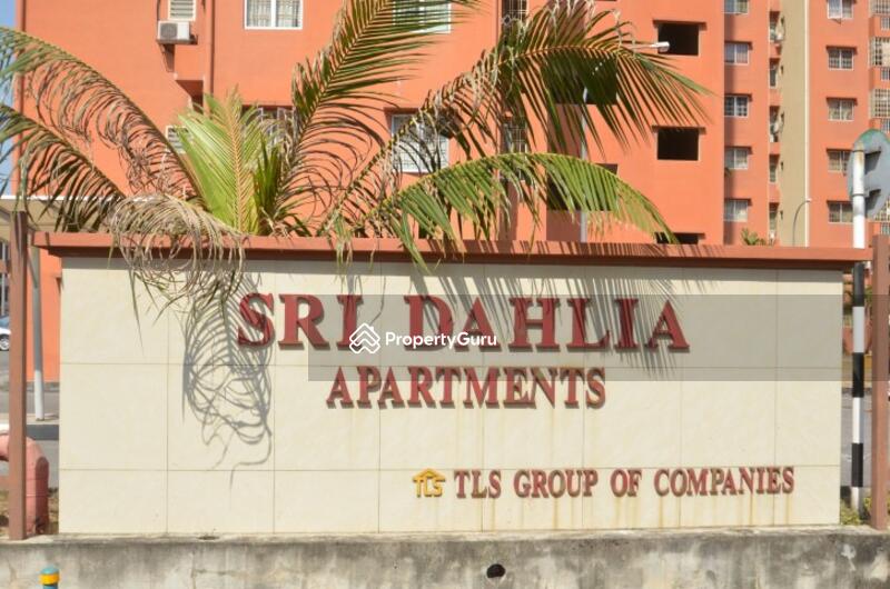 Sri Dahlia #0