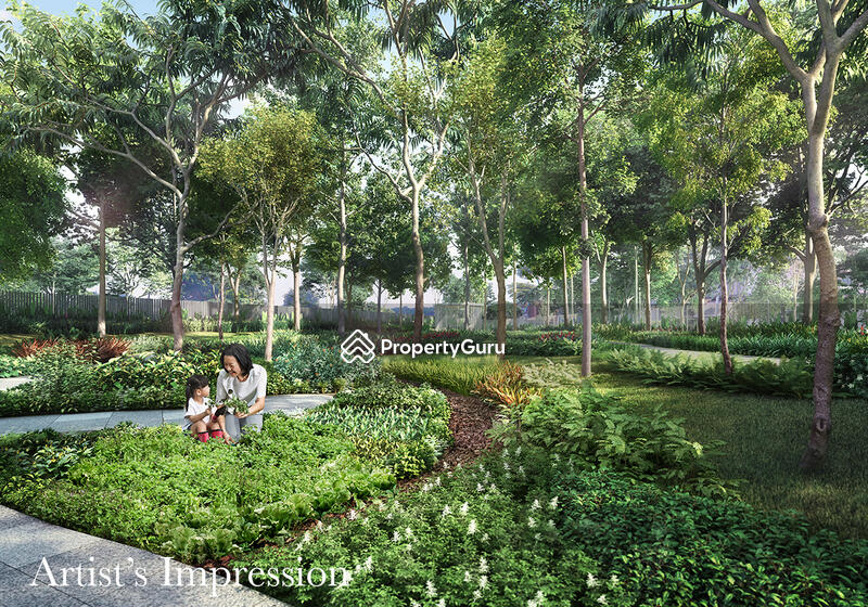 Community Garden