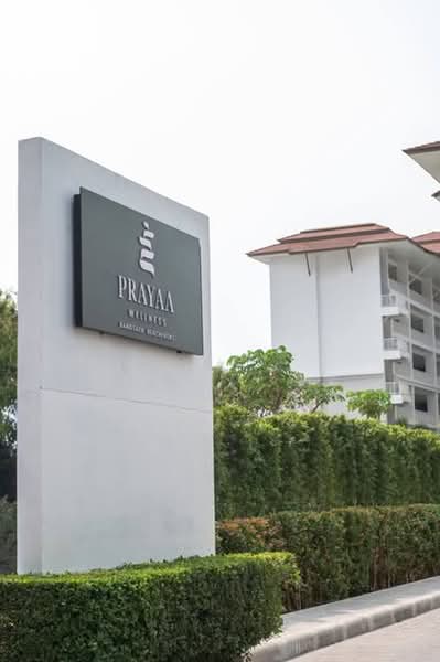 Prayaa Wellness Bangsaen Beachfront : พระยา เวลเนส บางแสน บีชฟรอนต์, ชลบุรี, ถนน บางแสนล่าง, แสนสุข, เมืองชลบุรี, ชลบุรี, 47 ตร.ม., คอนโด ให้เช่า, โดย Paula ., 500435414 - DDproperty.com