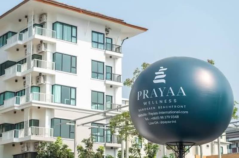Prayaa Wellness Bangsaen Beachfront : พระยา เวลเนส บางแสน บีชฟรอนต์, ชลบุรี, ถนน บางแสนล่าง, แสนสุข, เมืองชลบุรี, ชลบุรี, 47 ตร.ม., คอนโด ให้เช่า, โดย Paula ., 500435414 - DDproperty.com