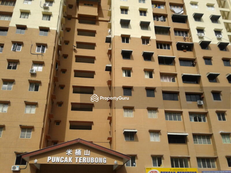Untuk Disewa - Puncak Terubong