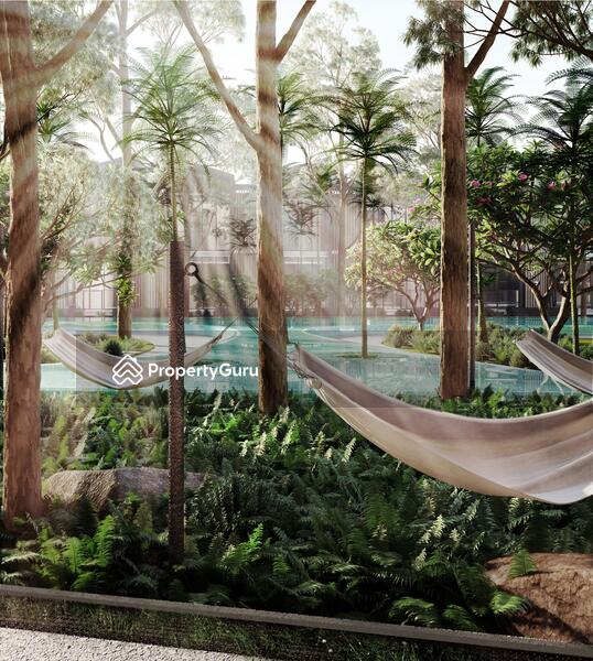 Hammock Shore