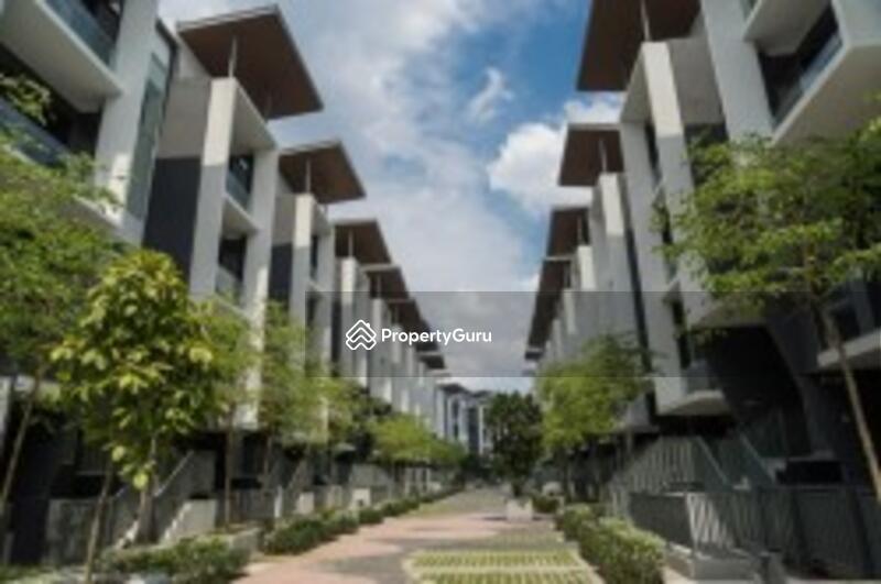 Serenity Garden
