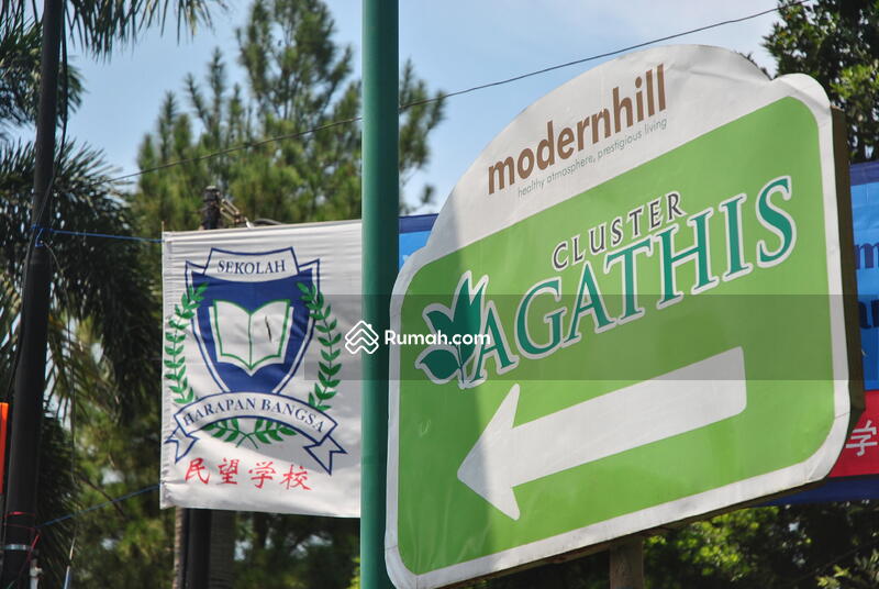 Modern Hill Cluster Agathis #0