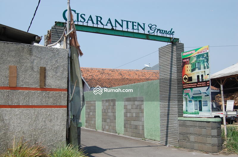 Cisaranten Grande #0
