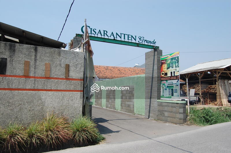 Cisaranten Grande #0