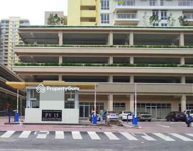 - Platinum Lake PV 15