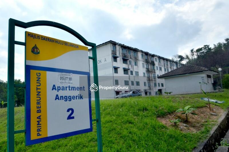 Anggerik 2 #0