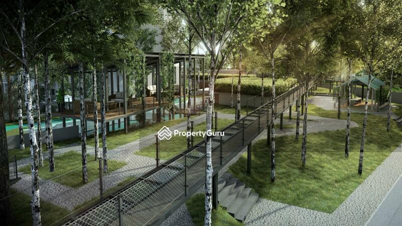 Verdi – Canopy Walk