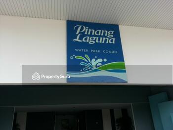 Pinang Laguna