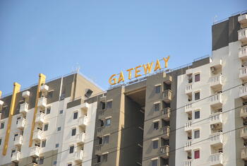 Gateway Cicadas