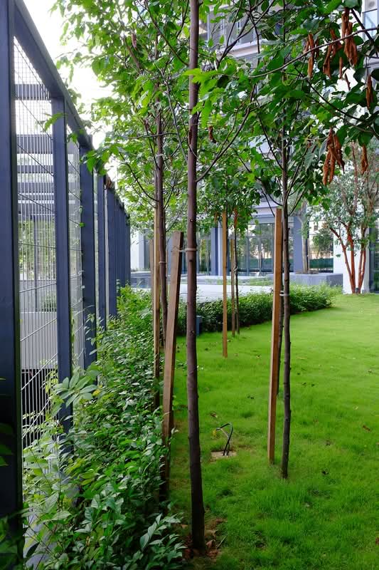 Rimbun - iProperty.com.my