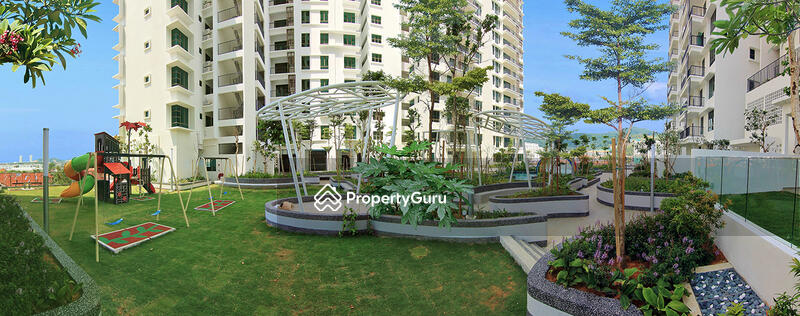 For Sale - Tree Sparina