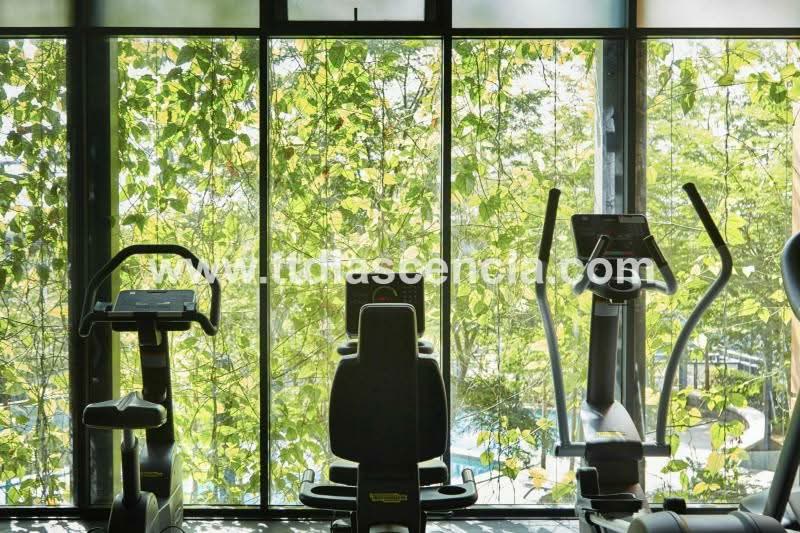 TTDI Ascencia - iProperty.com.my