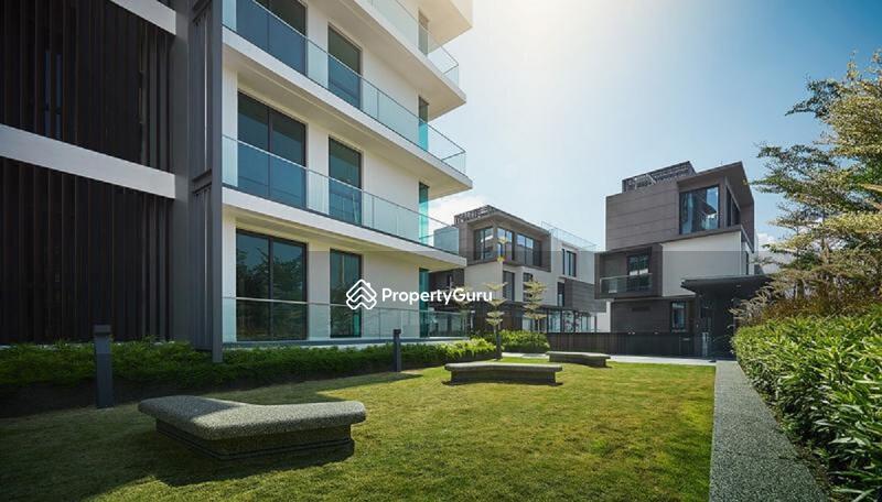 For Sale - The Light Collection IV
