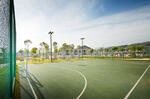 Periwinkle - Futsal Court