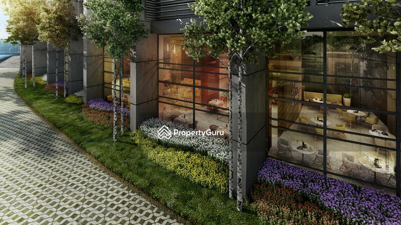 Landscape Pathway