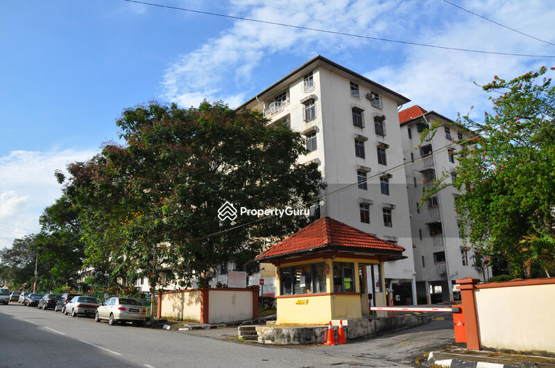 Road View