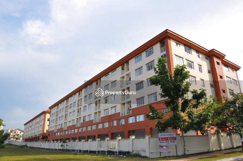 Road View