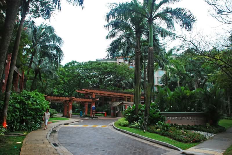 Maplewoods, 991 Bukit Timah Road, Clementi Park / Upper Bukit Timah, Room Rental, 120 sqft, Condominium For Rent, by Tan Hong Tak, 500051844 - PropertyGuru.com.sg