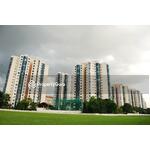 For Rent - Parc Oasis