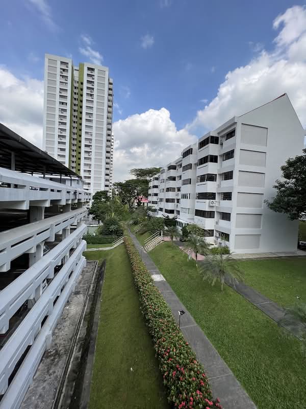 Braddell View