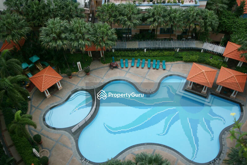 Elevated pool view