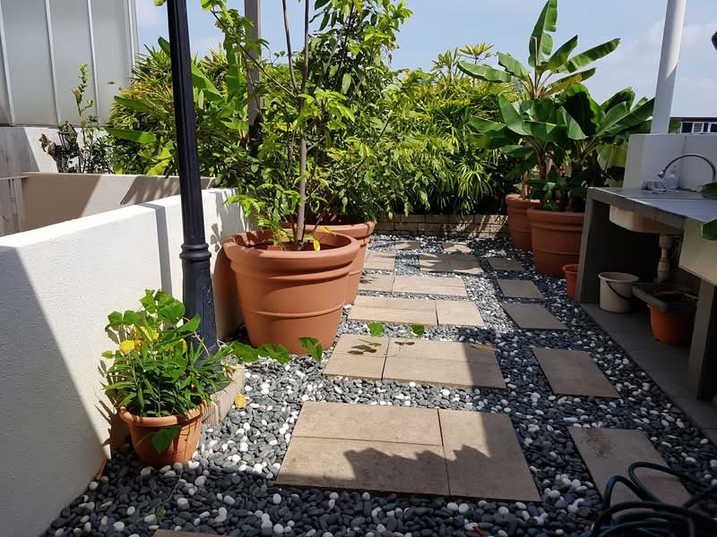 Mimosa Terrace Terraced House located at Seletar / Yio Chu Kang