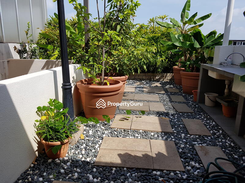 For Rent - Mimosa Terrace