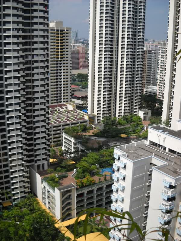 Oleander Towers