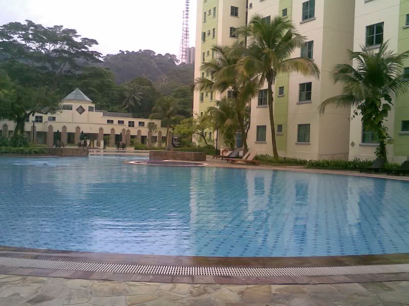 Springdale Condo