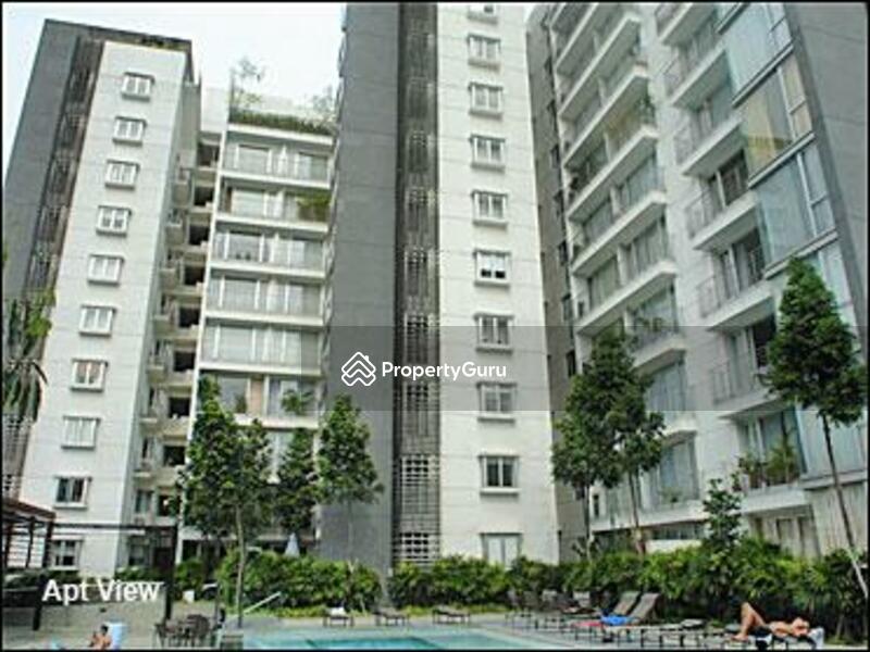 For Sale - The Levelz