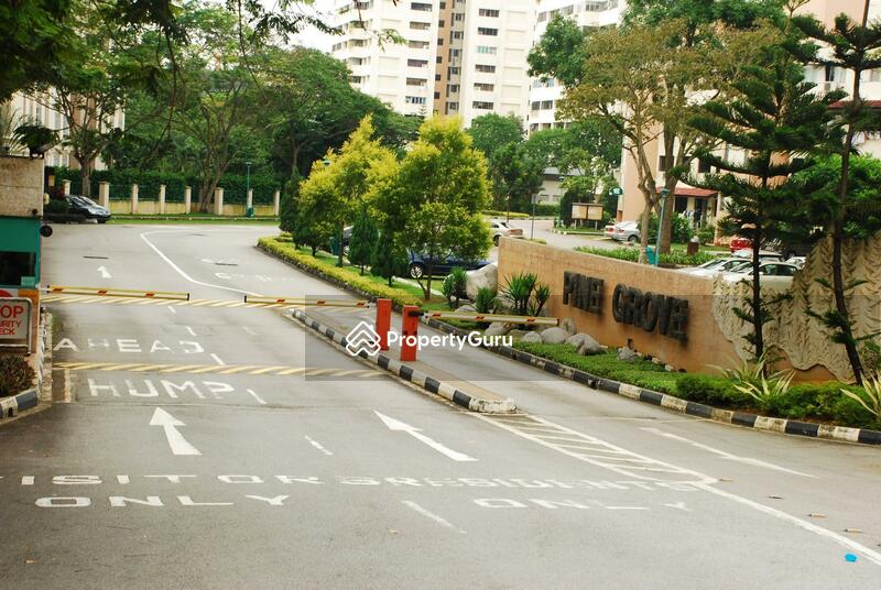 Pine Grove Condominium located at Clementi Park / Upper Bukit Timah