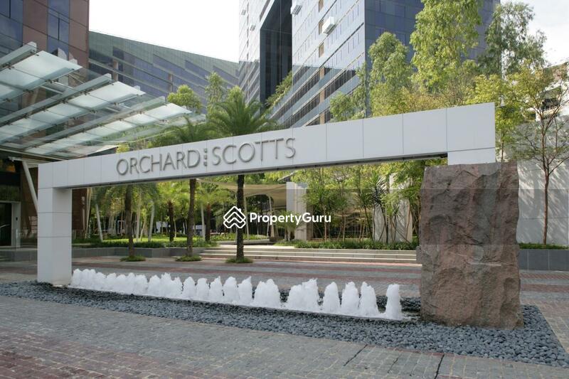 For Sale - Orchard Scotts