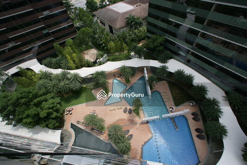 For Sale - Orchard Scotts