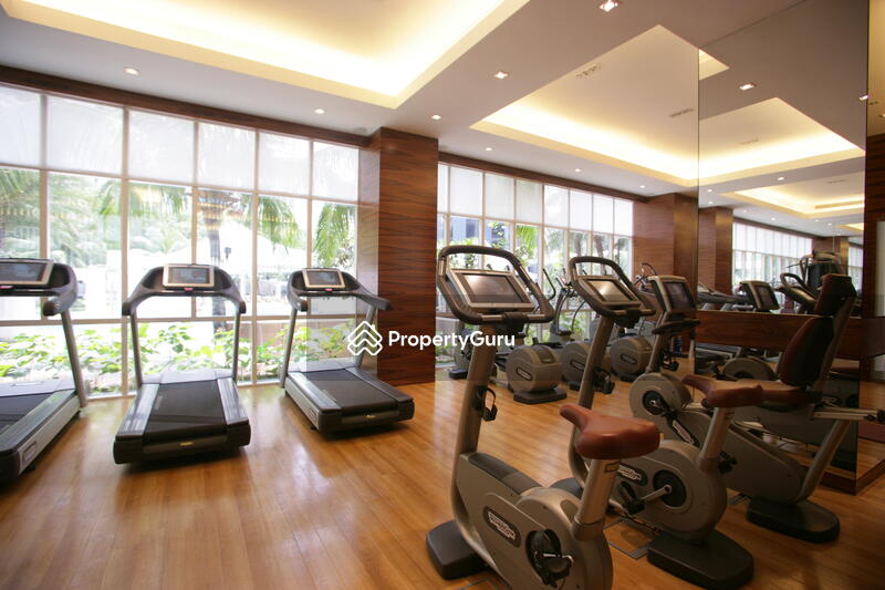 For Sale - Orchard Scotts
