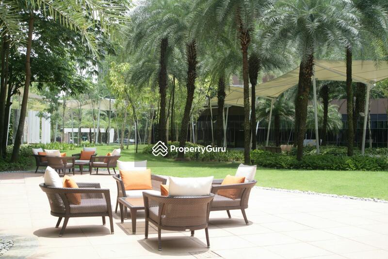 For Sale - Orchard Scotts